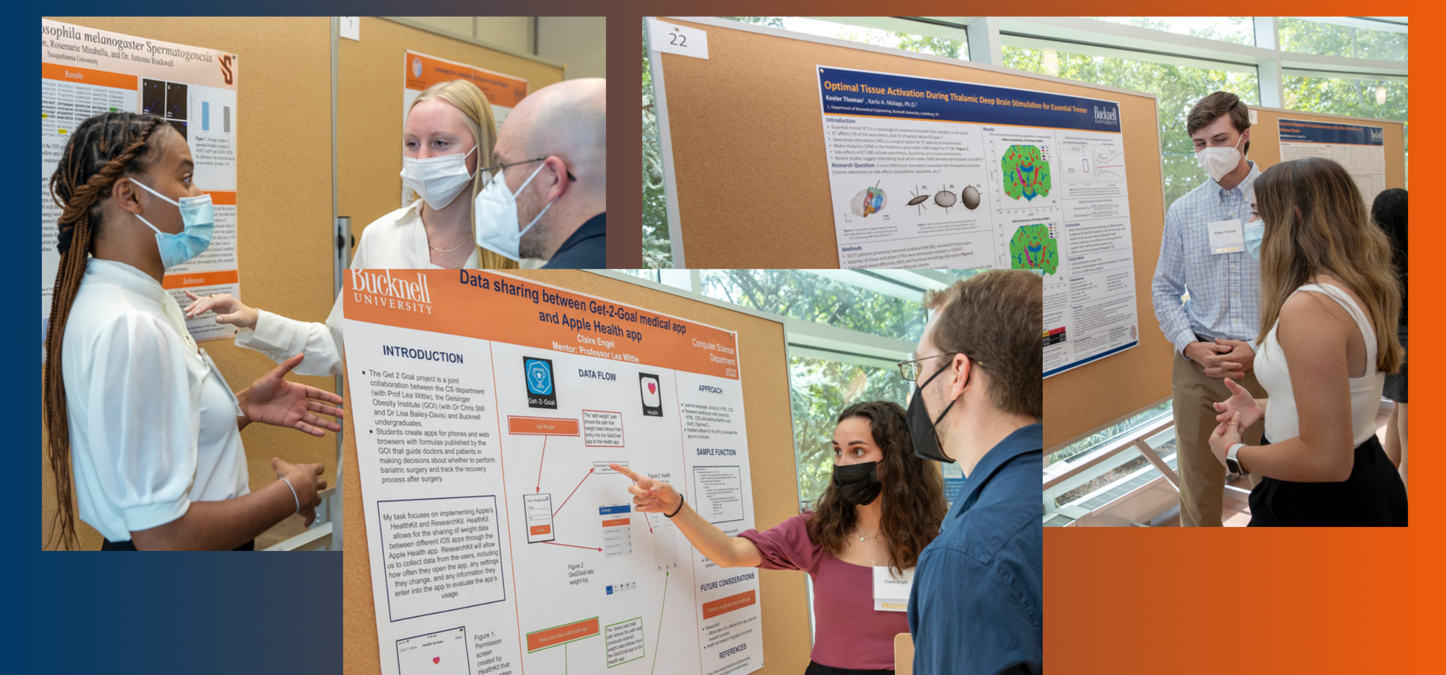 A collage of photos, all showing students explaining their academic research posters.