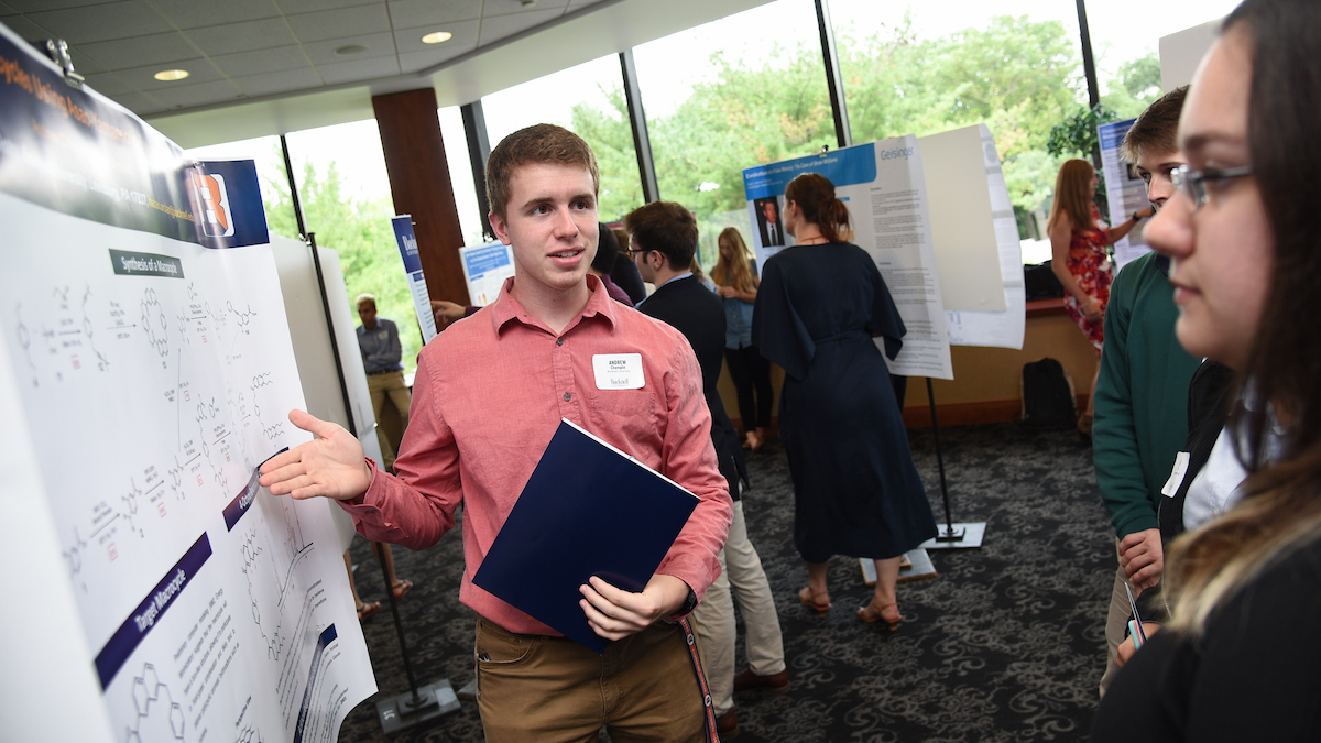 A collage of photos, all showing students explaining their academic research posters.